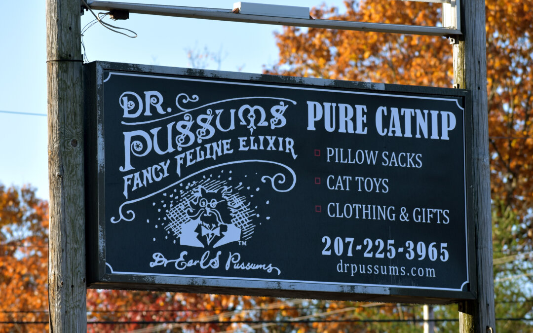 38 years in business, Dr. Pussums PURE CATNIP Shoppe celebrates 1 Year Anniversary on Rt 4 in Turner!