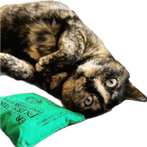 Catnip & Catnip Toys