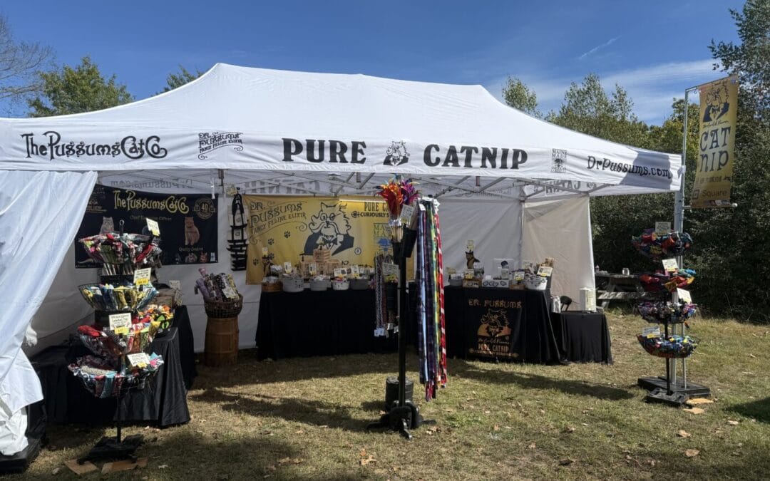 Where to find us in PURRson this year!